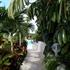 Photo of Residence Caraibes Bonheur Dashaies Bay Photo of Residence Caraibes Bonheur Dashaies Bay
