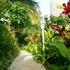 Photo of Residence Caraibes Bonheur Dashaies Bay Photo of Residence Caraibes Bonheur Dashaies Bay