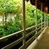 Photo of Hotel Maya Internacional Photo of Hotel Maya Internacional
