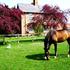 Book Hotel in Bishop Wilton, England, United Kingdom, Bishops Barns Worsendale Road
