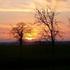 Book Hotel in Halstead, England, United Kingdom, Belchamp Road Little Yeldham