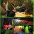 Photo of Pay Purix Backpackers Hostel Photo of Pay Purix Backpackers Hostel