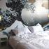 Photo of Take A Nap Hostel Bangkok Photo of Take A Nap Hostel Bangkok