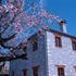 Photo of Rupicapra Villas Photo of Rupicapra Villas