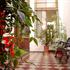 MetaTango Hostel photo
