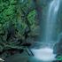 Photo of Monteverde Rustic Lodge Photo of Monteverde Rustic Lodge