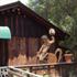 Sequoia River Dance Bed and Breakfast