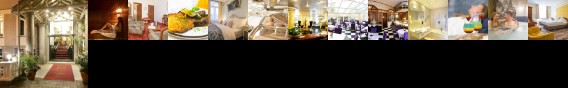 Alexandra Hotel Plauen