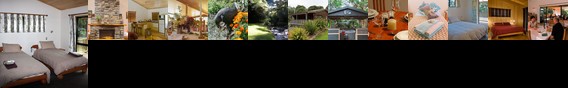 Tangiaro Kiwi Retreat Coromandel