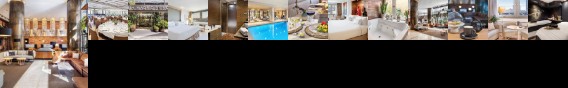 Melia Madrid Princesa