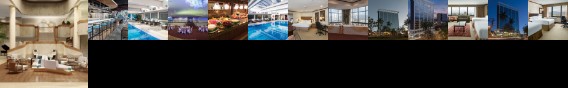 Holiday Inn San Jose Aurola