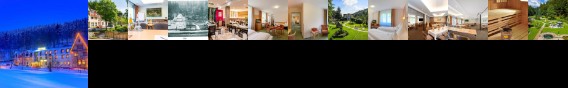 Hotel Waldmühle Zella-Mehlis