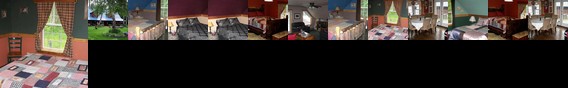 Blonde Bear Bed And Breakfast