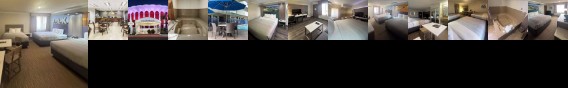 Comfort Inn & Suites LAX Airport
