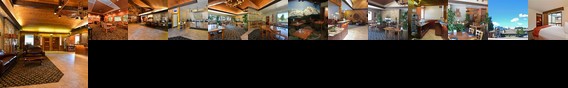 BEST WESTERN PLUS Tree House