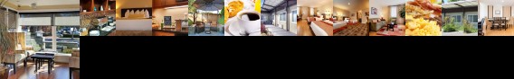The Zen Hotel