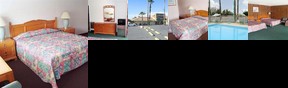 Palm Tree Inn