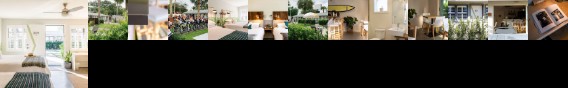 The Palms Retro
