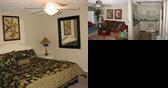 The Shores Condominiums
