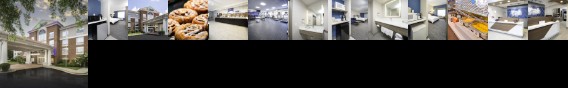 Holiday Inn Express Hotel & Suites Johns Creek Suwanee