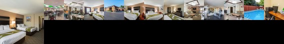 Comfort Inn Holland (Michigan)