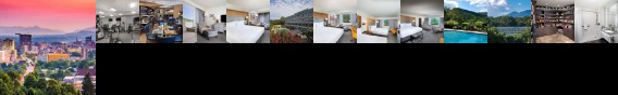 Holiday Inn Asheville Biltmore East