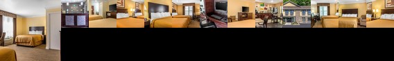 Quality Inn Mcafee