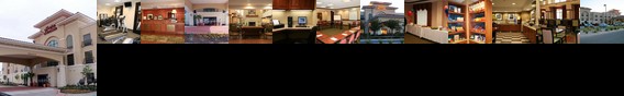 Hampton Inn & Suites Del Rio
