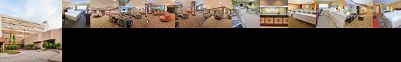 Holiday Inn Wichita Falls (At the Falls)