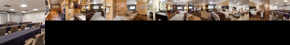 Best Western Cottontree Inn North Salt Lake