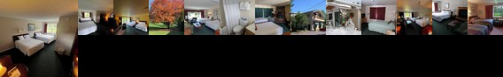 Stowe Motel & Snowdrift