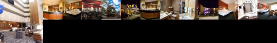 Hotel Mead