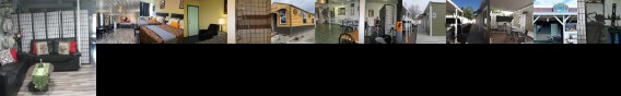 Western Motel Lovell