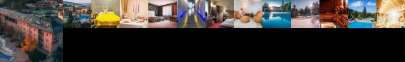 Spa Hotel Dvoretsa