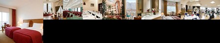 Sofitel Al Saeed Taiz