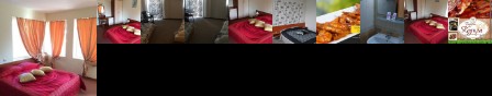 Sea Horse Hotel