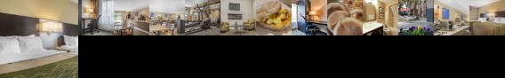 Comfort Inn Chatham City