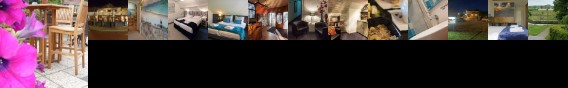 Hotel Hartlief Buinen