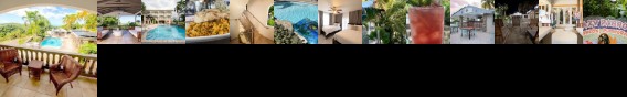 Lazy Parrot Inn Rincon (Puerto Rico)