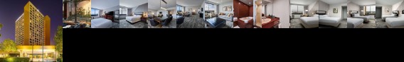 Doubletree by Hilton Anaheim - Orange County