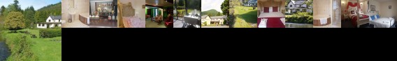 Dolbrodmaeth Riverside Hotel Dinas Mawddwy