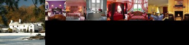 Ynyshir Hall Hotel Machynlleth