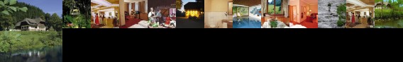 Hotel Ochsenwirtshof Bad Rippoldsau-Schapbach