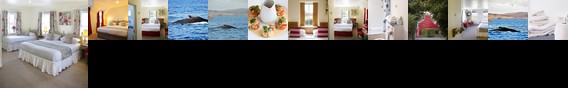 Casey's of Baltimore Hotel (Ireland)