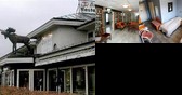 Big Moose Hotel