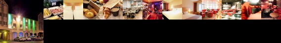 Ibis Alencon