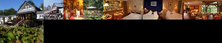 Hotel Les Pins Haguenau
