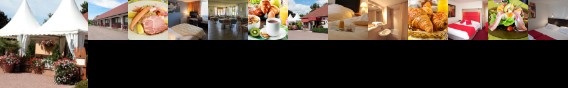 Au Relais D'Alsace Hotel Rouffach