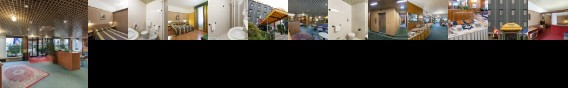 Plaza Hotel San Martino Siccomario
