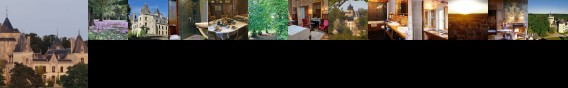 Chateau de Ternay